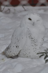 Similar image 21490113