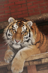 Similar image 21490115