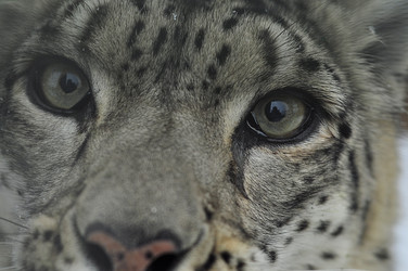 Similar image 21490119