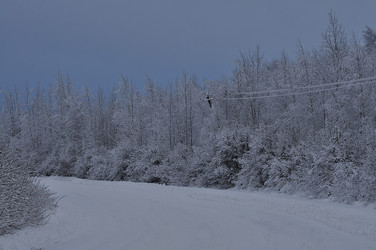 Similar image 21492182