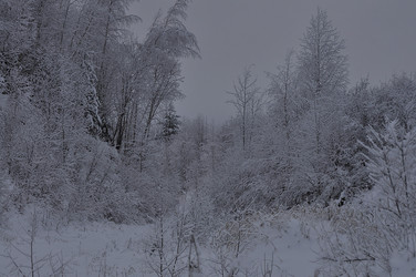 Similar image 21492183