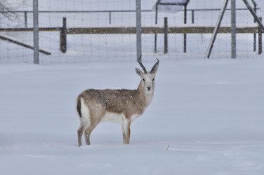 Similar image 21492184