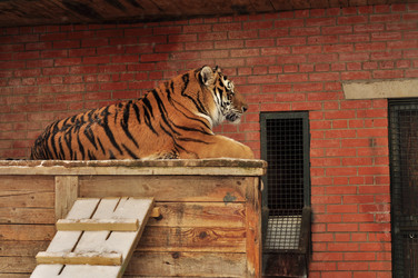 Similar image 21492185