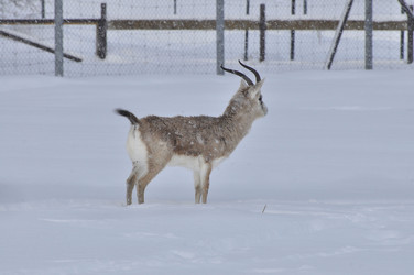 Similar image 21492186