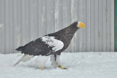 Similar image 21492190