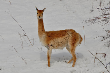 Similar image 21492192