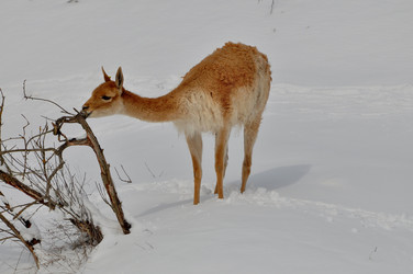 Similar image 21492194