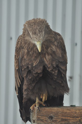 Similar image 21492195