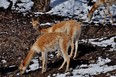 Similar image 21495206