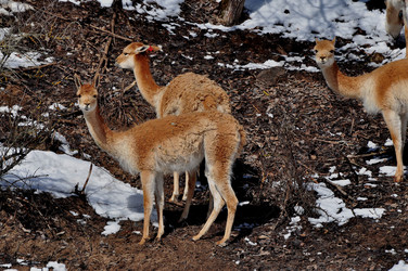 Similar image 21495248