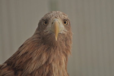 Similar image 21495265