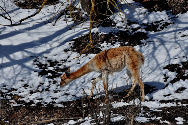 Similar image 21499680