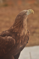 Similar image 21502643