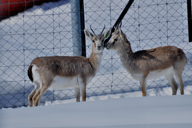 Similar image 21502645