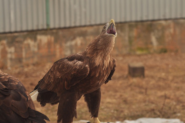 Similar image 21503821