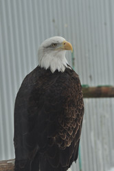 Similar image 21503959