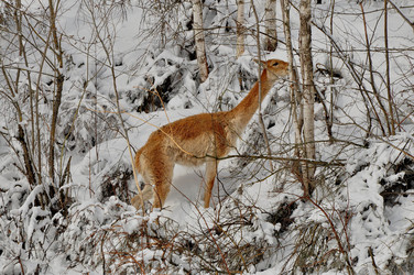 Similar image 21504115