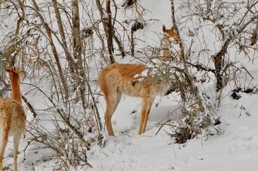 Similar image 21504253