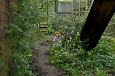 Similar image 21489321