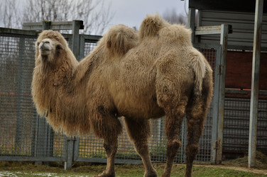 Similar image 21489322