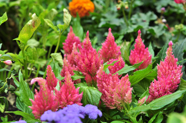 Similar image 21489324