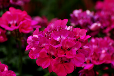 Similar image 21489326