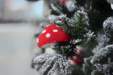 Similar image 21489327