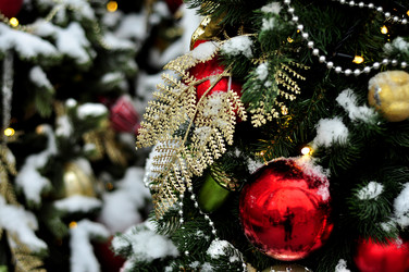 Similar image 21489329