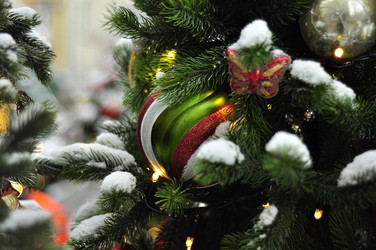 Similar image 21489594