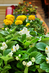 Similar image 21490122