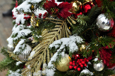 Similar image 21490123