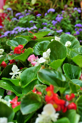 Similar image 21490124