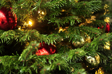 Similar image 21490125