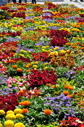 Similar image 21490127