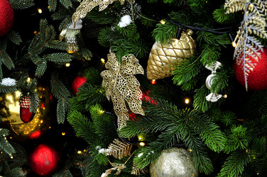 Similar image 21490128