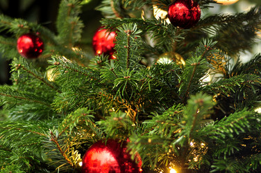 Similar image 21490129