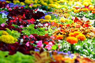 Similar image 21490130