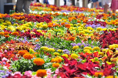 Similar image 21490132