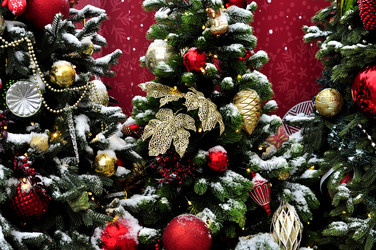 Similar image 21490133