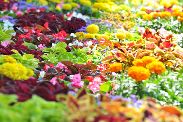 Similar image 21490134