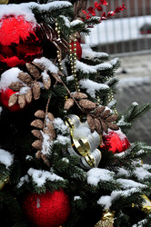 Similar image 21490137