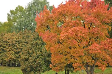 Similar image 21490143