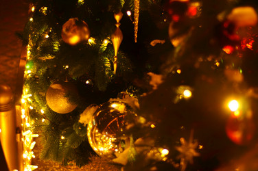 Similar image 21491634