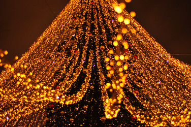 Similar image 21491635