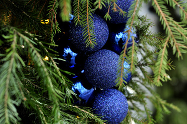 Similar image 21491636