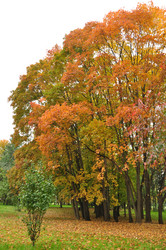 Similar image 21491638