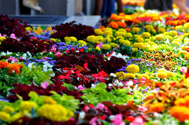 Similar image 21492196