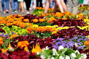 Similar image 21492197