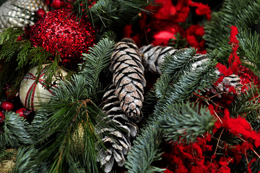 Similar image 21492198