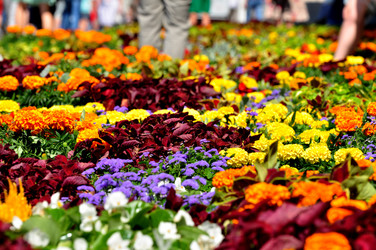 Similar image 21492199